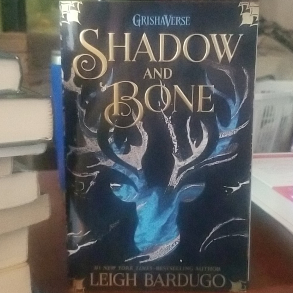 Shadow and Bone book